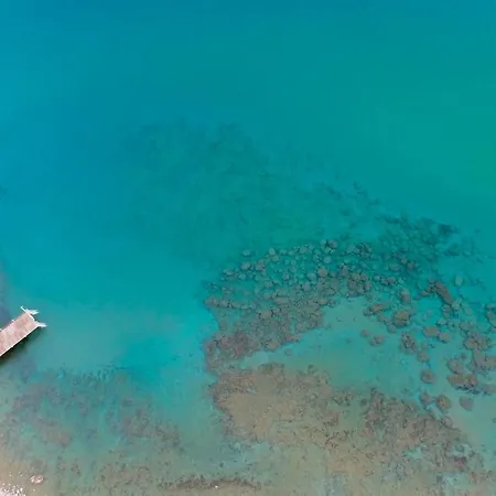 리조트 Bertiz, And Restaurant 보즈자아다